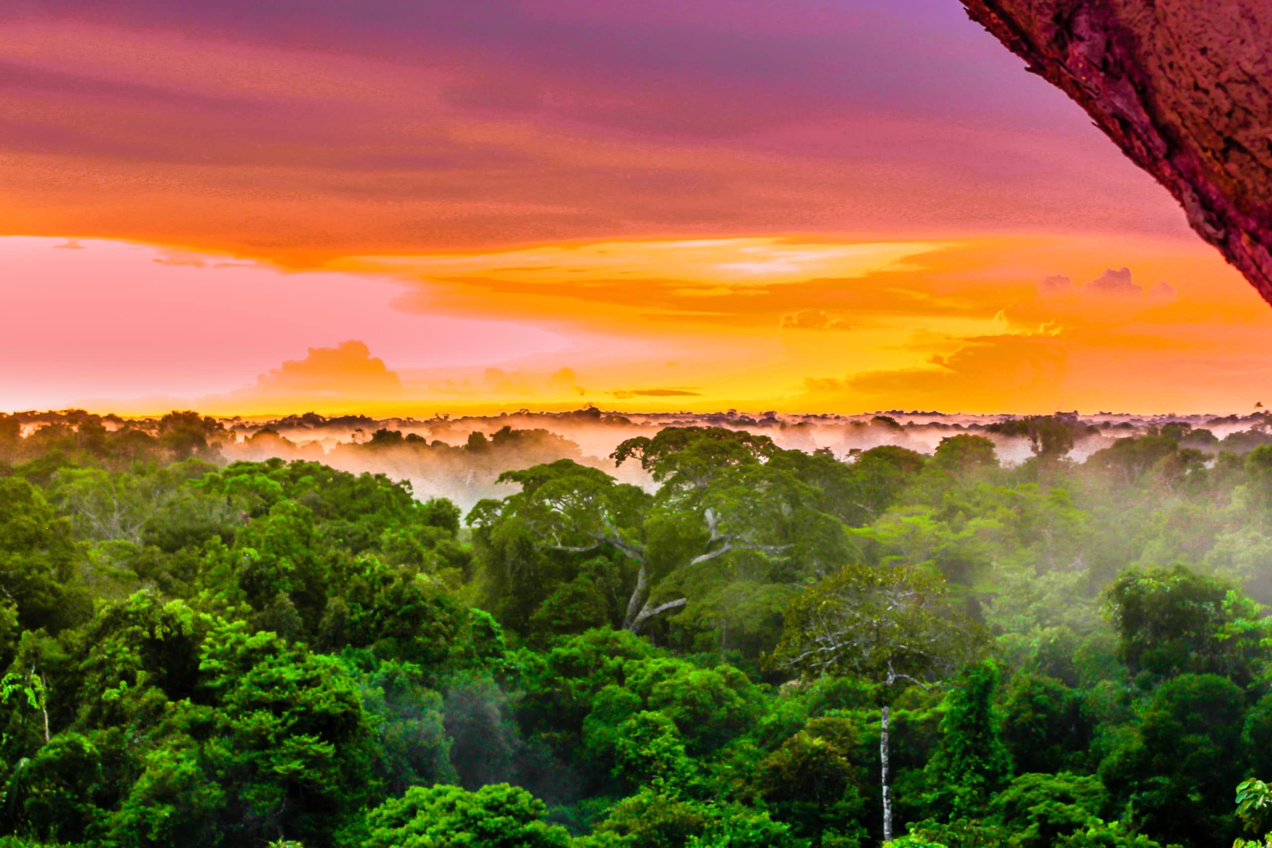 Amazonas in Kolumbien